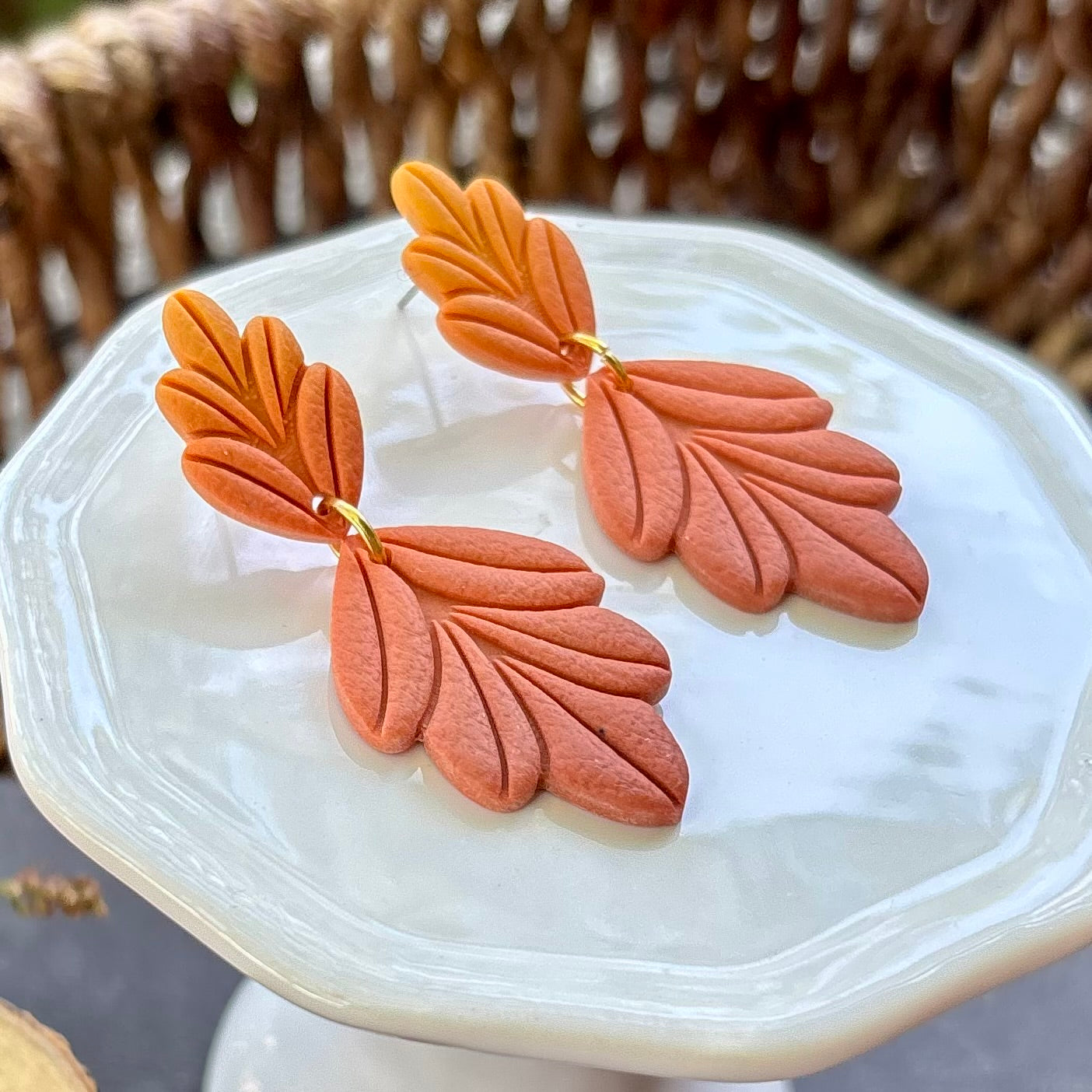 Willow | Leaves | Autumn and Spring