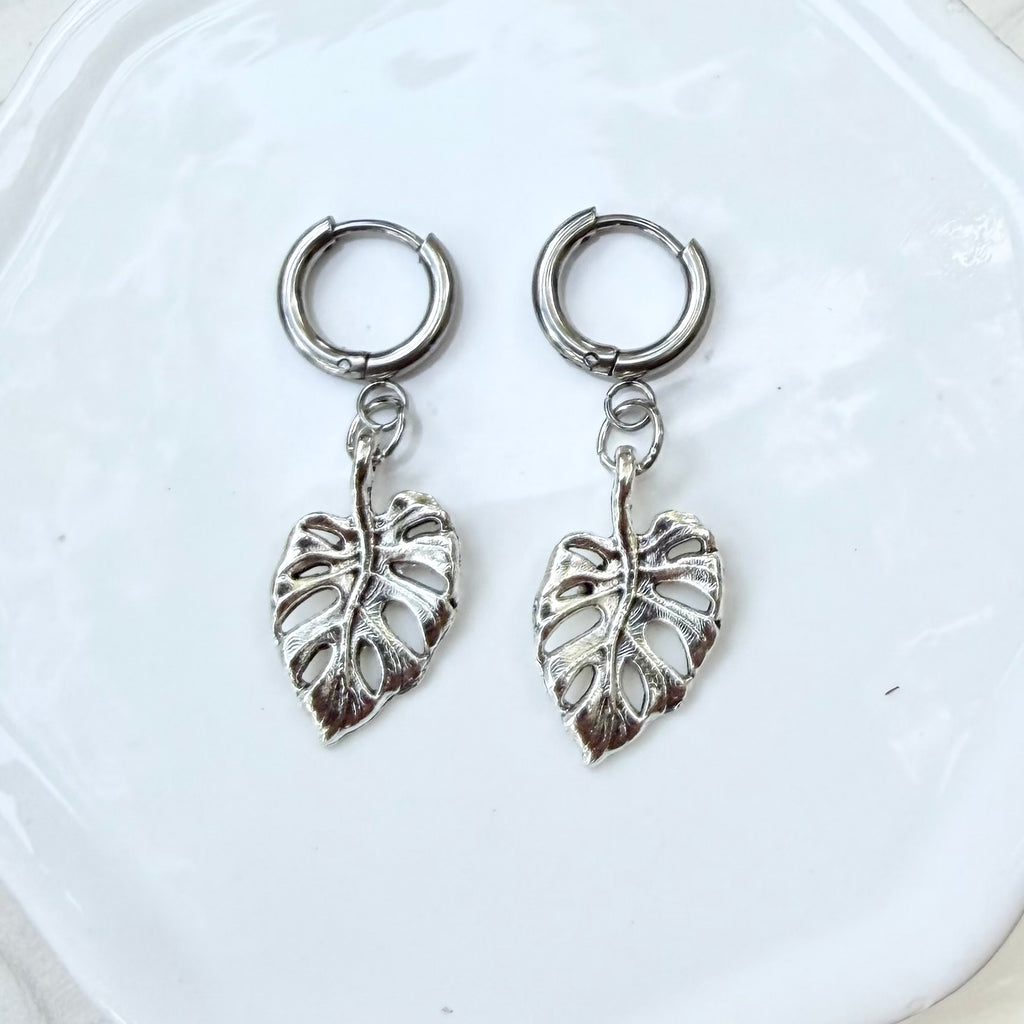 Charmed | Monstera | Summer and Winter