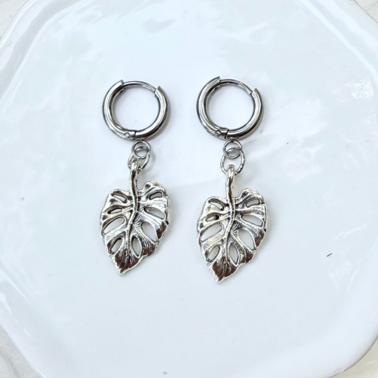 Charmed | Monstera | Summer and Winter