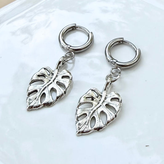 Charmed | Monstera | Summer and Winter